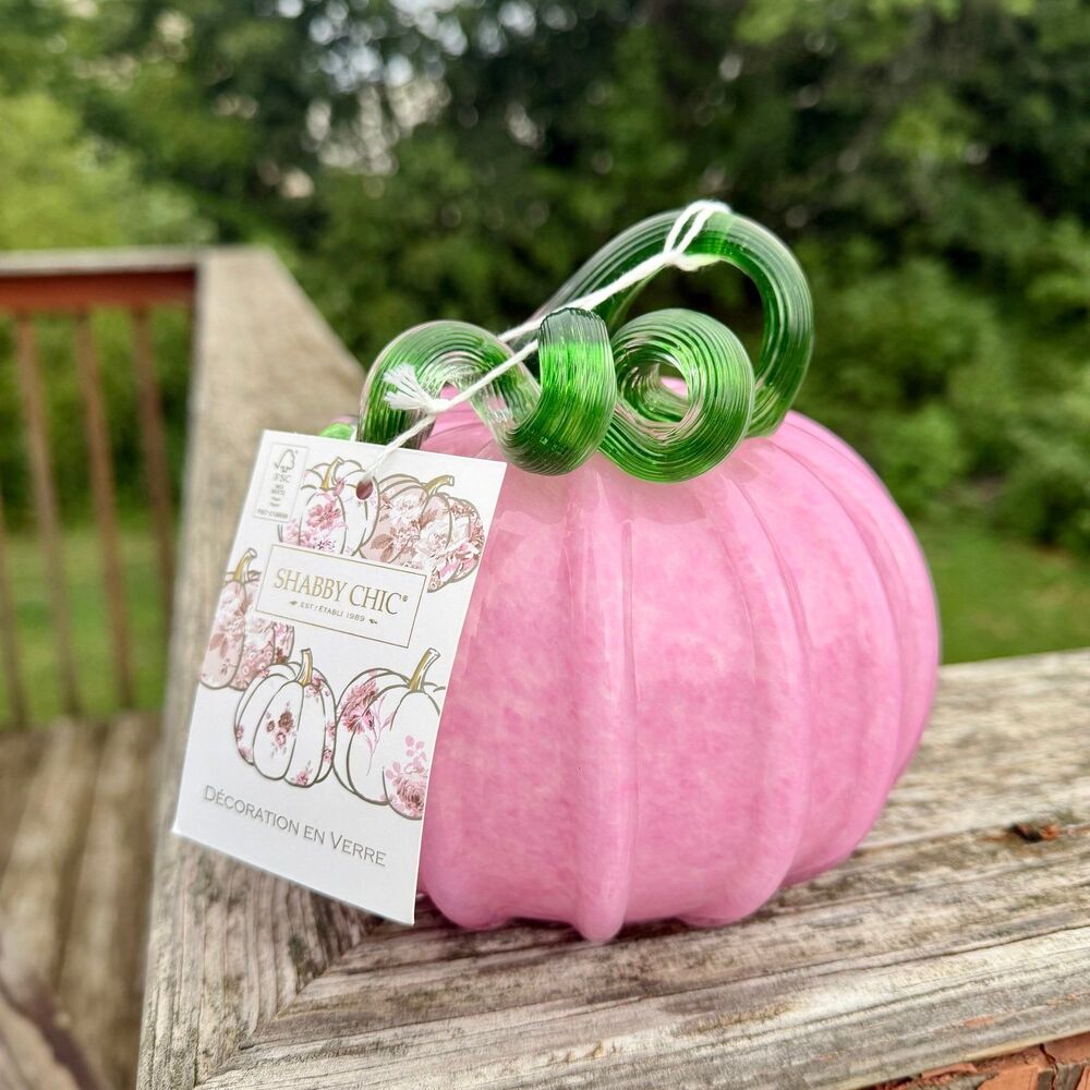 NEW Shabby Chic Glass Pumpkin 5.5” Tall Pink w/ Green Stem Pumpkin